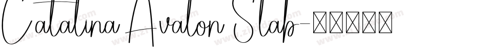 Catalina Avalon Slab字体转换